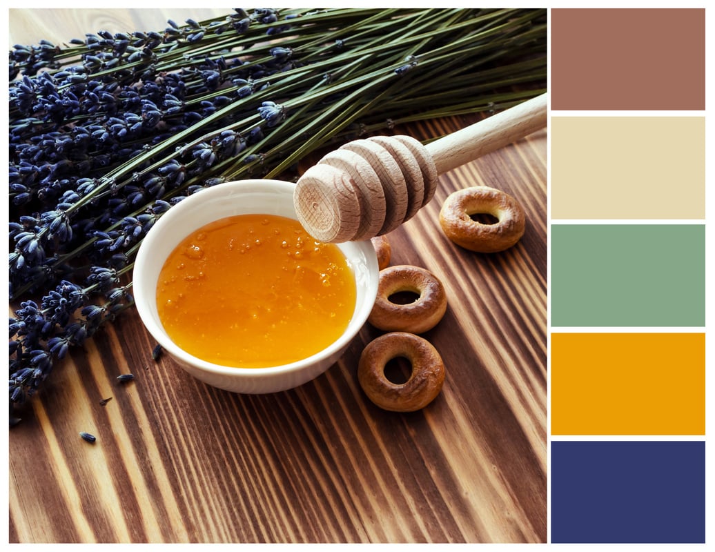 Color palette. Harmonious color combinations.